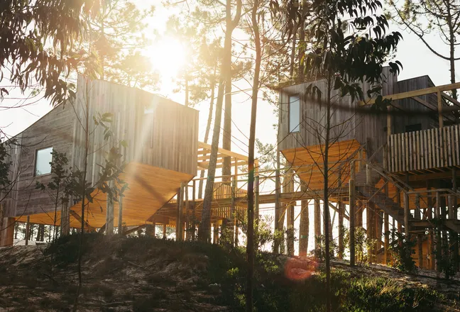 Casa na árvore_Tiny Casa na árvore_Tiny