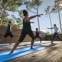 Yoga_Wellness
